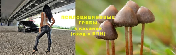 МДПВ Коряжма