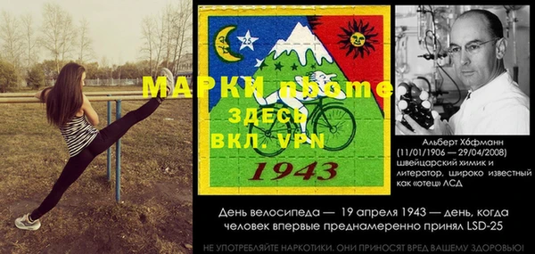 гидра Костерёво
