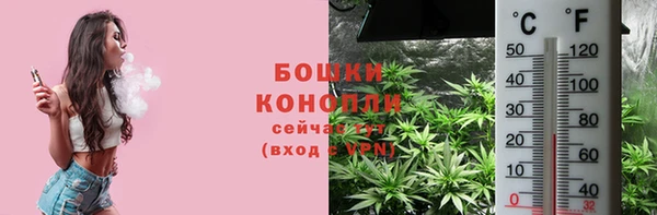 гидра Костерёво