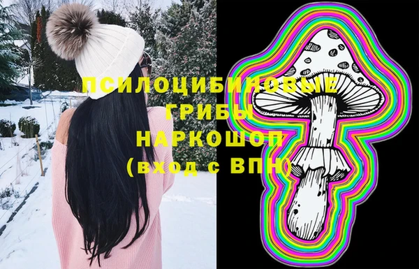 дживик Корсаков