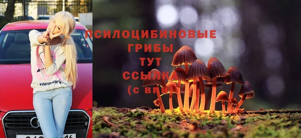 дживик Корсаков