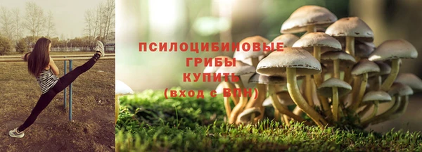 дживик Корсаков