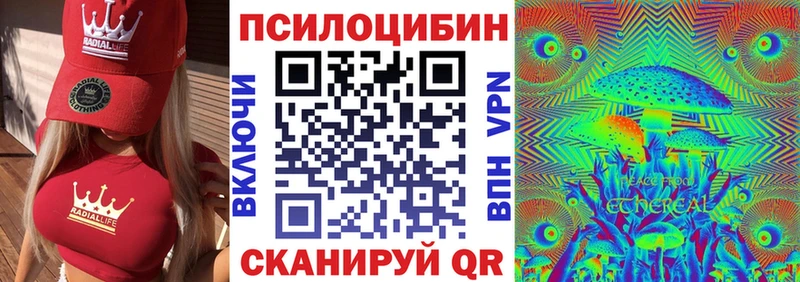 Псилоцибиновые грибы Psilocybine cubensis  Купить закладки  Георгиевск 
