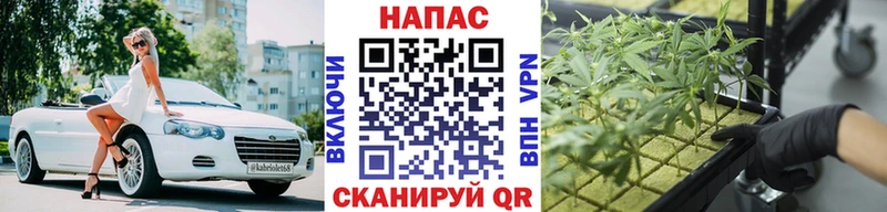 Бошки марихуана THC 21%  Купить  Георгиевск 